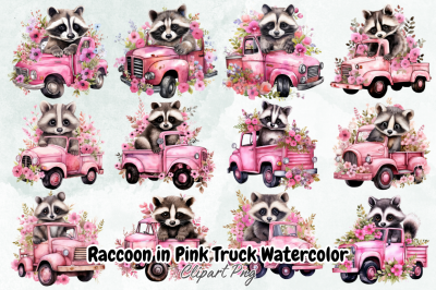 Raccoon in Pink Truck Watercolorr