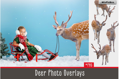 Deer Photo Overlays