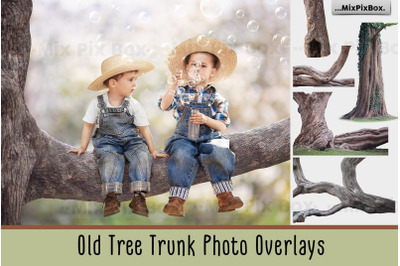 Old Tree Trunk Photo Overlays