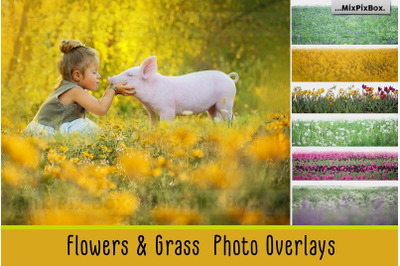 Flowers and Grass Overlays