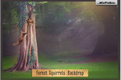 Forest Squirrels Backdrop