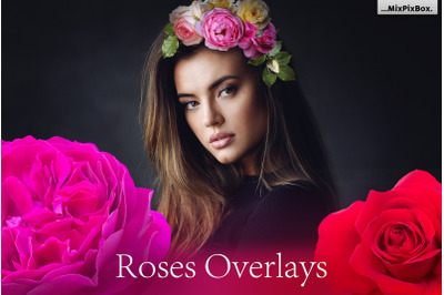 Roses Photo Overlays