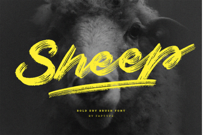 Sheep | Dry Brush Script Header Poster Font