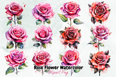 Rose Flower Watercolor Arts Bundle