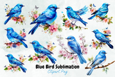 Blue Bird Sublimation Clipart
