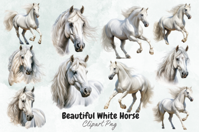 Beautiful White Horse Clipart