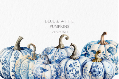 Blue white pumpkin Watercolor Clipart PNG