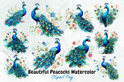 Beautiful Peacocks Watercolor Clipart