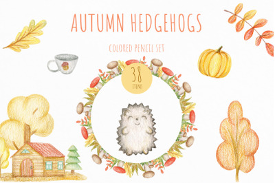 Autumn Hedgehogs. Cute Autumn Set