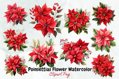 Poinsettias Flower Watercolor Clipart