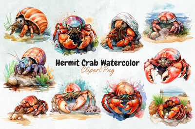 Hermit Crab Watercolor Sublimation
