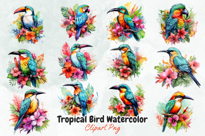 Tropical Bird Watercolor Sublimation