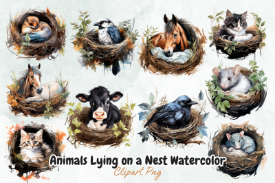 Animals Lying on a Nest Watercolor