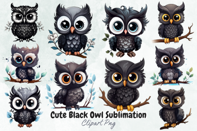 Cute Black Owl Sublimation Clipart