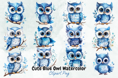 Cute Blue Owl Watercolor Clipart