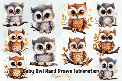 Baby Owl Hand Drawn Sublimation Clipart