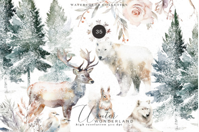evergreen clipart - watercolor Christmas - winter woodland set