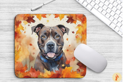 Cute Staffordshire Terrier And Autumn