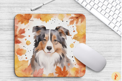 Cute Australian Shepherd And Fall Leaves