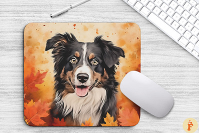 Cute Australian Shepherd And Fall Leaves