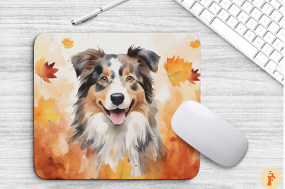 Cute Australian Shepherd And Fall Leaves