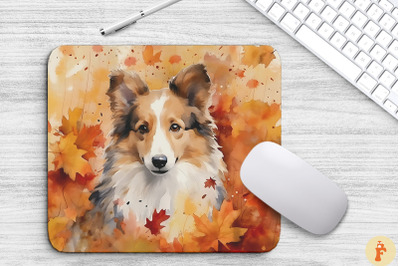 Cute Shetland Sheepdog And Fall Leaves