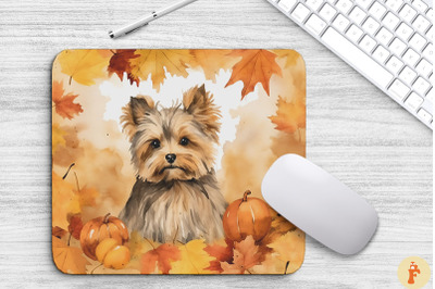 Cute Yorkshire Terrier And Fall Leaves