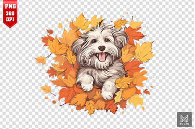 Autumn Havanese Dog Clipart