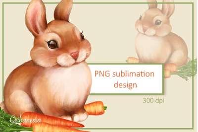 Bunny and carrot | Rabbit PNG sublimation design