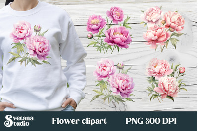 Peony flower clipart PNG