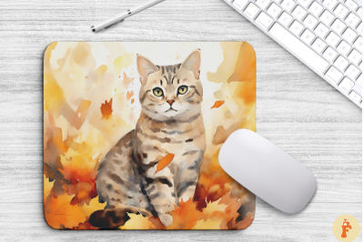 Cute American Shorthair Cat In Fall