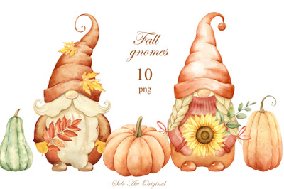 Fall Gnomes Thanksgiving Day pumpkins sunflowers leaves