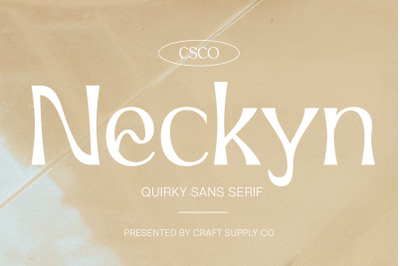 Neckyn - Quirky Sans Serif