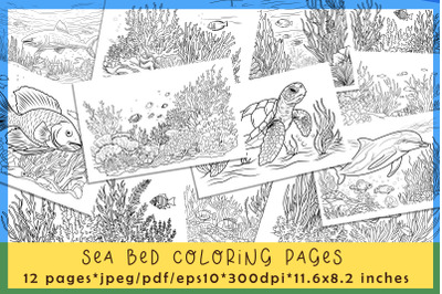 12 Sea Bed Coloring Pages Jpeg/Pdf/Eps