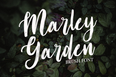 Marley Garden | Brush Font
