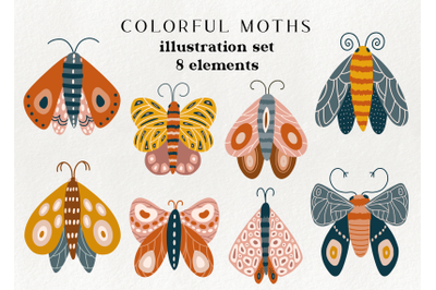 Colorful moth clip art - modern hand drawn moth clipart, doodle insect