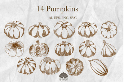 Autumn pumpkins SVG PNG EPS