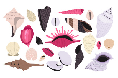 Seashell collection. Cartoon shellfish and coral, summer beach and oce