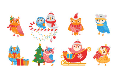 Winter owl. Cute christmas birds of set celebrating