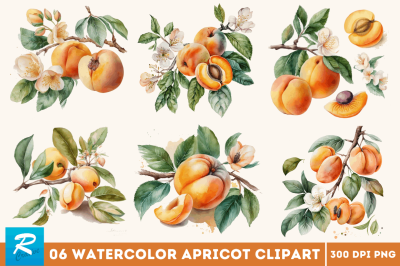 Watercolor Apricot Clipart Bundle