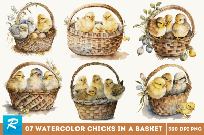 Watercolor Chicks in a Basket Clipart Bundle
