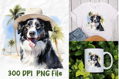 Vintage Border Collie Wear Sun Hat Beach