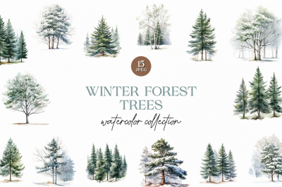 Winter Forest Trees