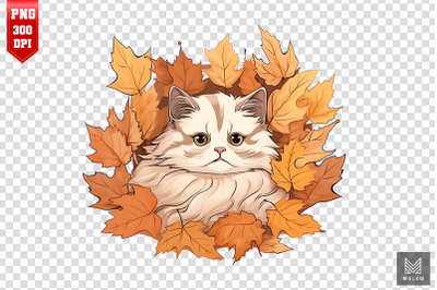 Cute Ragdoll Cat In Autumn Clipart