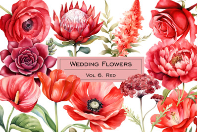 Watercolor red wedding flowers clipart. Red flower clip art