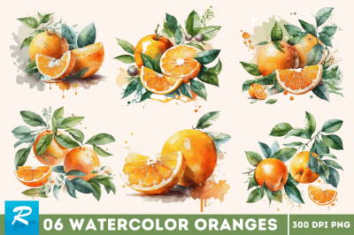 Watercolor Oranges Clipart Bundle