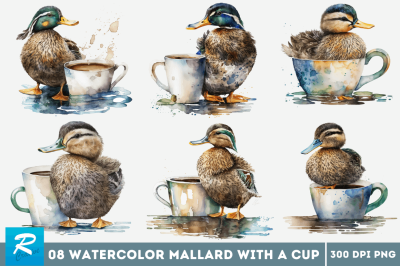 Watercolor Cute Mallard with a Cup Bundle