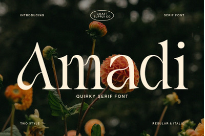 Amadi - Quirky Serif Font