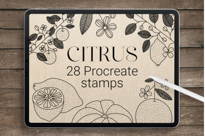 Citrus Procreate Stamp Brushes