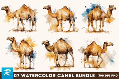 Watercolor Camel Bundle